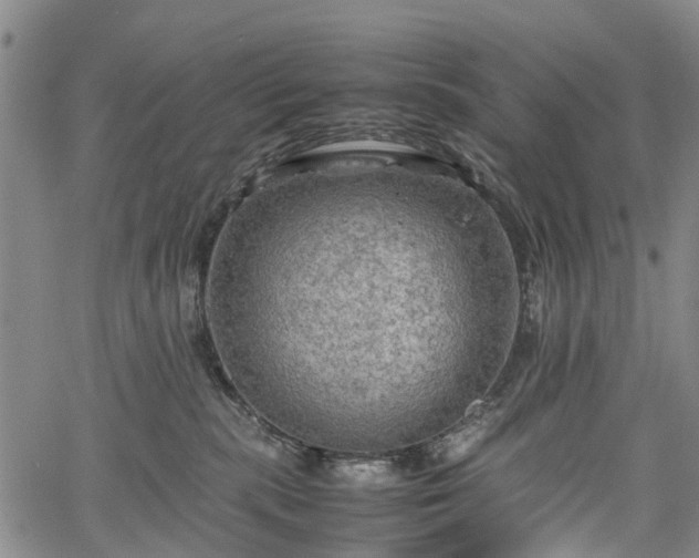 X0000067500283200604101238