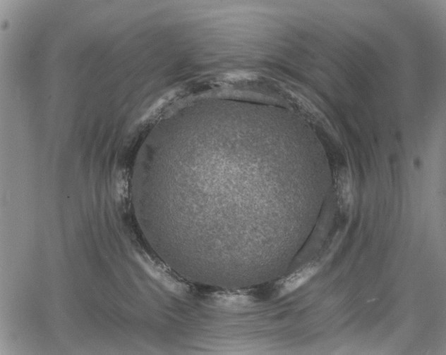 X0000067500284200604101238