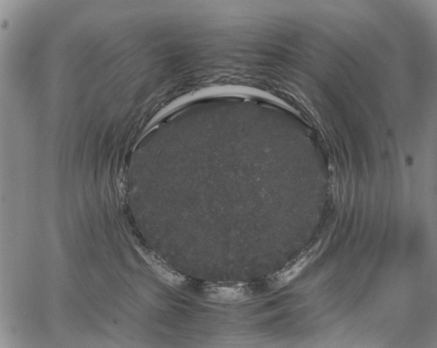 X0000067500285200604101238