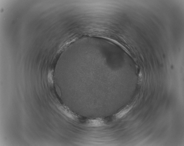 X0000067500286200604101238