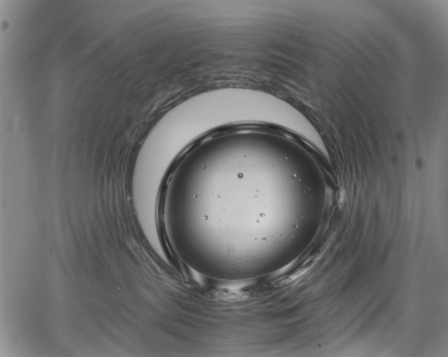 X0000067500287200604101238