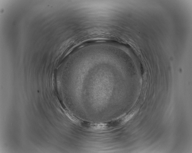 X0000067500288200604101238