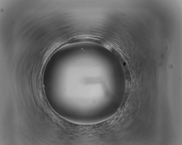 X0000067500289200604101237