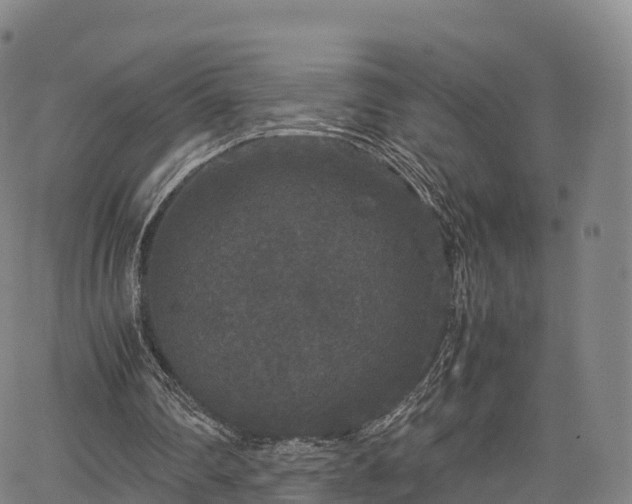 X0000067500290200604101237