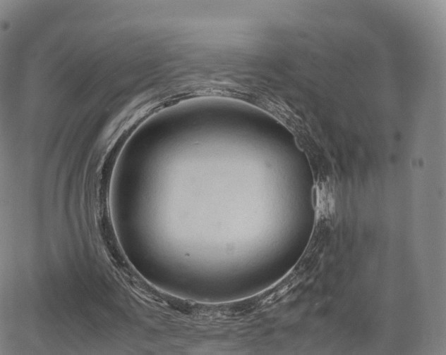 X0000067500291200604101237