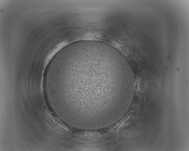 X0000067500292200604101237