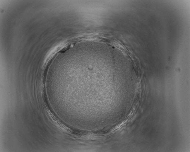 X0000067500293200604101237