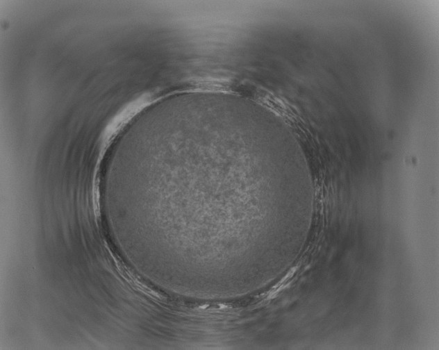 X0000067500294200604101237