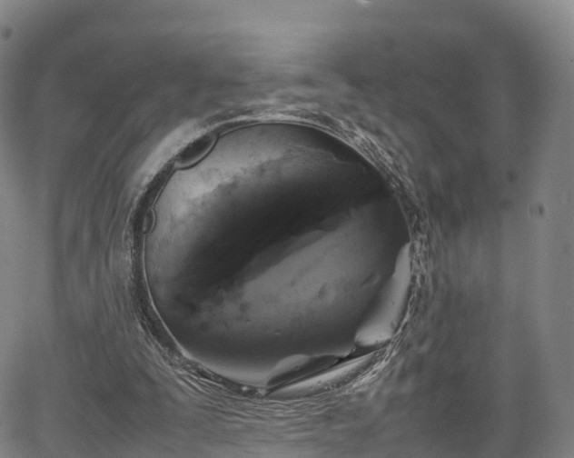 X0000067500295200604101237