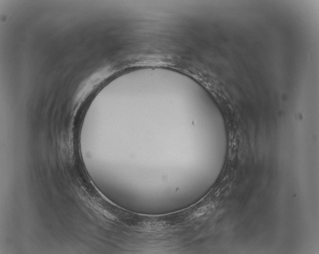 X0000067500296200604101237