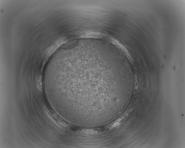 X0000067500298200604101237