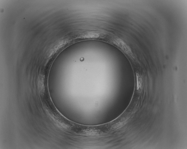 X0000067500300200604101237