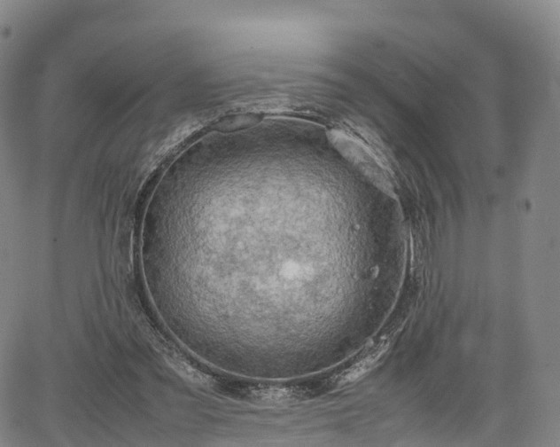 X0000067500301200604101237