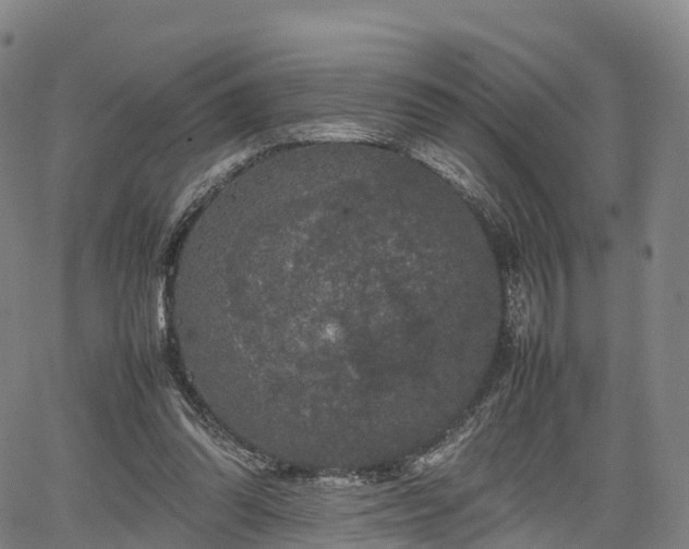 X0000067500302200604101237