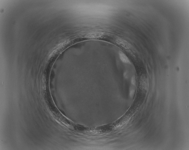 X0000067500303200604101237