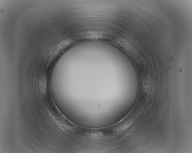 X0000067500304200604101237