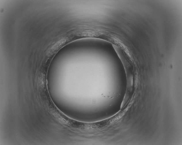 X0000067500305200604101237