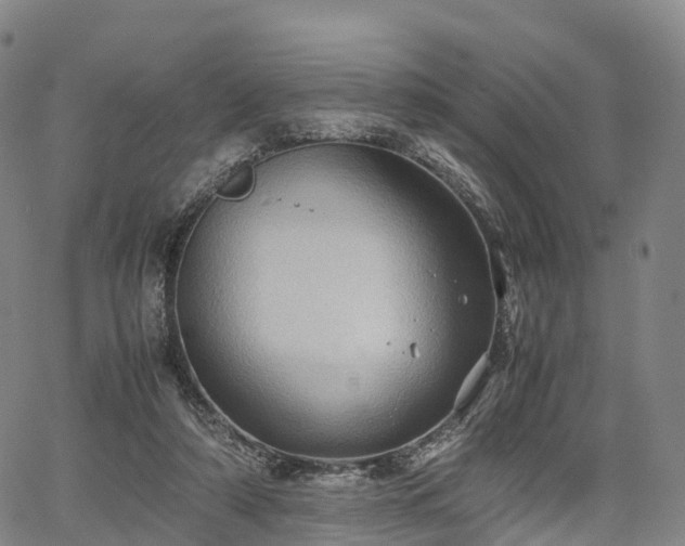 X0000067500306200604101237