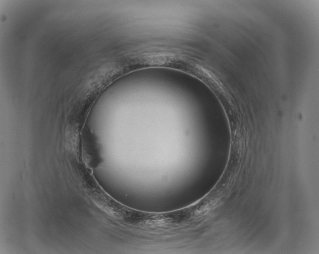 X0000067500307200604101237