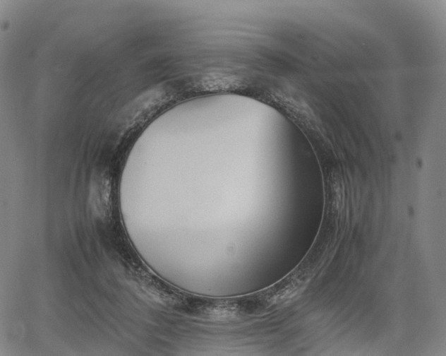 X0000067500308200604101237