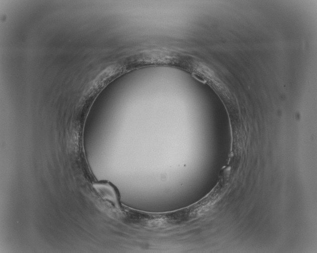 X0000067500309200604101237