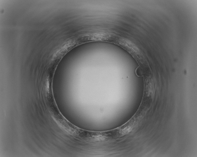 X0000067500310200604101237