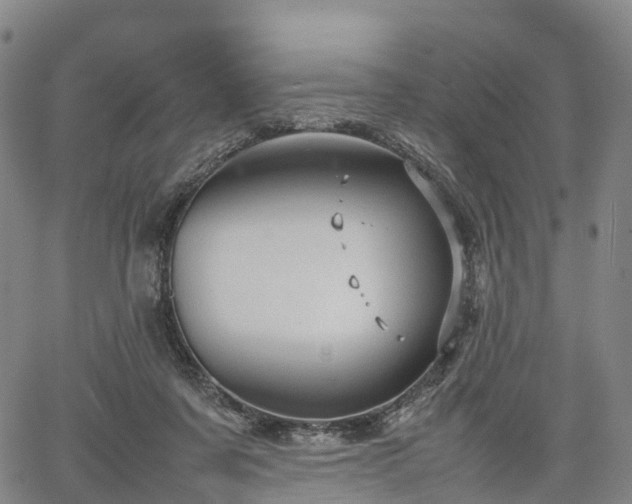 X0000067500311200604101237