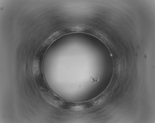 X0000067500312200604101237