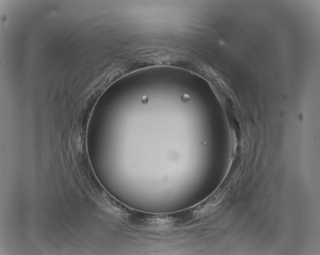 X0000067500313200604101237