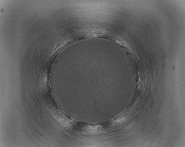 X0000067500314200604101237