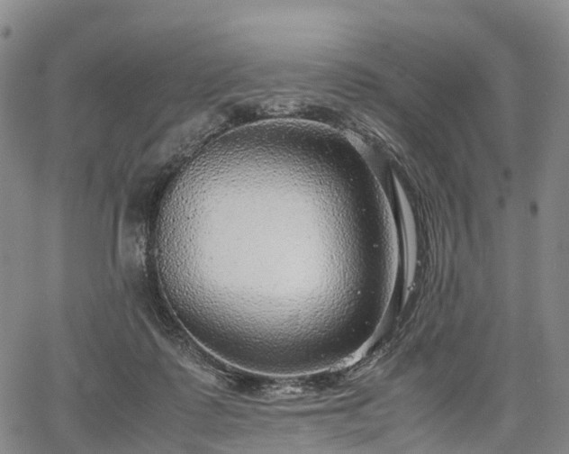 X0000067500315200604101237