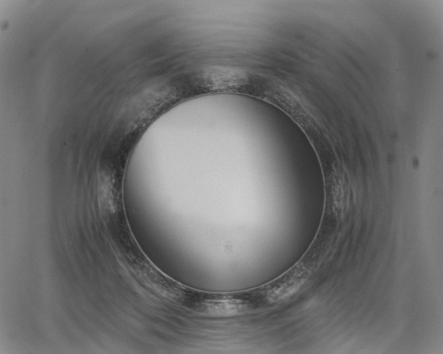 X0000067500316200604101237