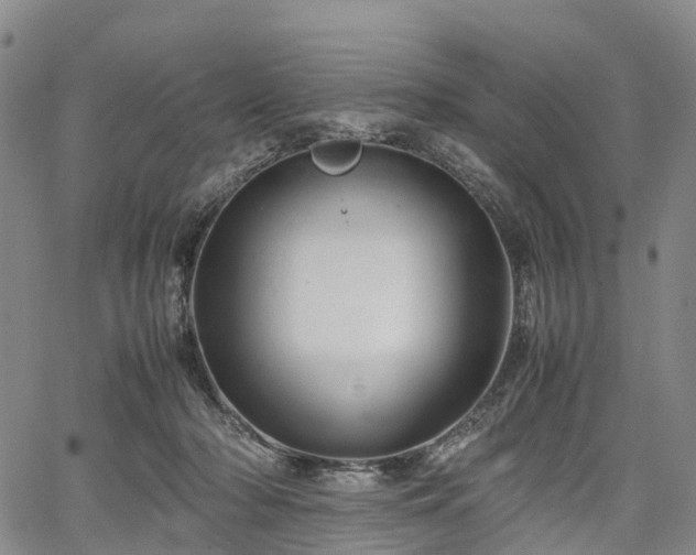 X0000067500318200604101237