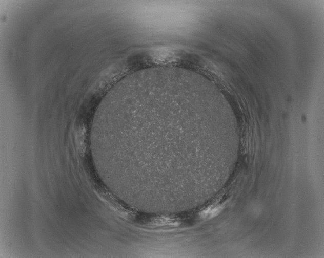 X0000067500319200604101237