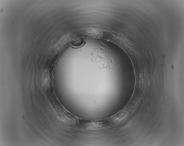 X0000067500320200604101237