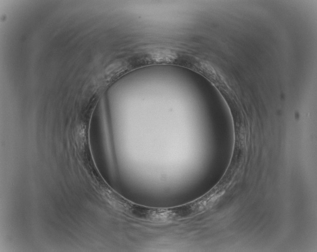 X0000067500321200604101237