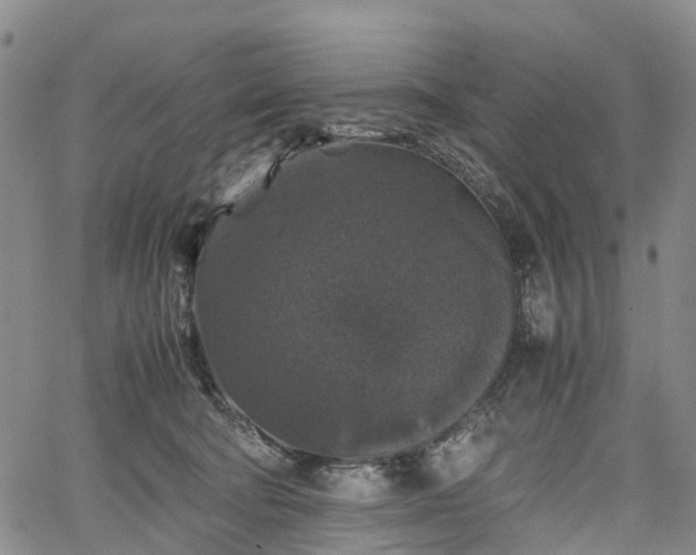 X0000067500322200604101237