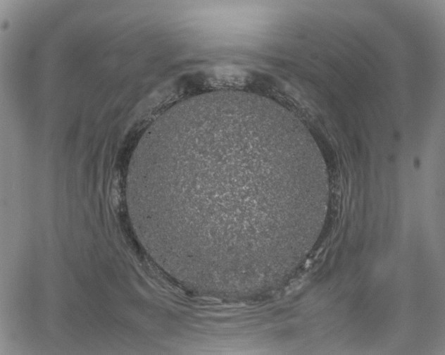 X0000067500323200604101237