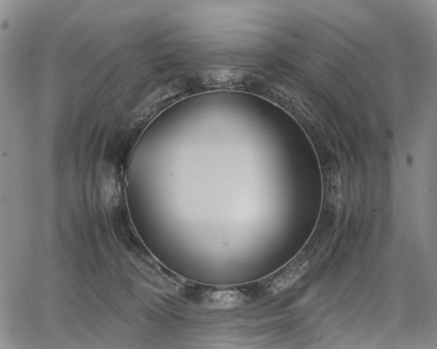 X0000067500324200604101237