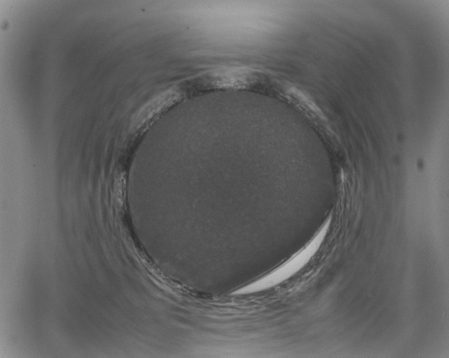 X0000067500325200604101237