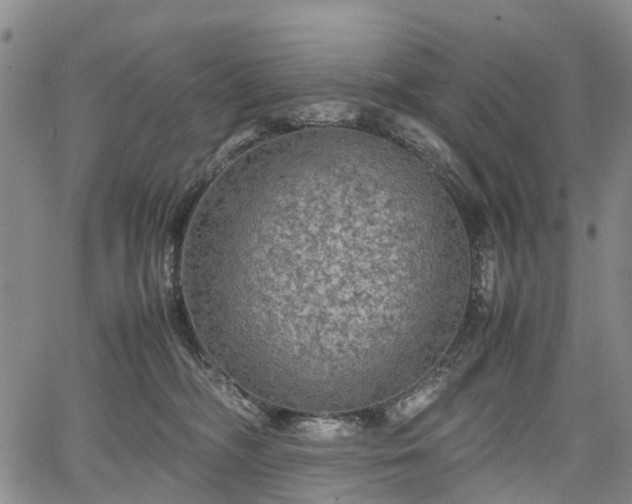 X0000067500326200604101237