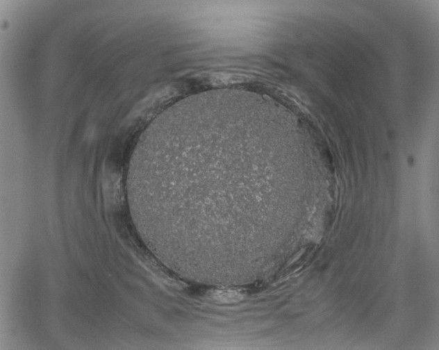 X0000067500327200604101237