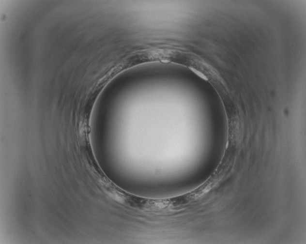 X0000067500329200604101237