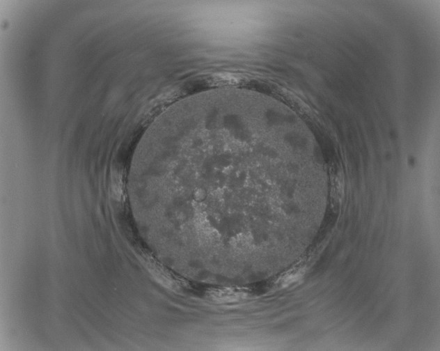 X0000067500331200604101237