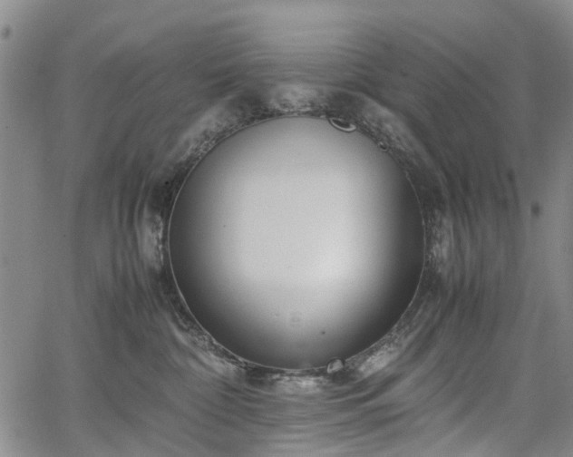 X0000067500332200604101237