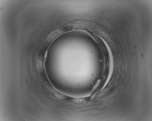 X0000067500333200604101237