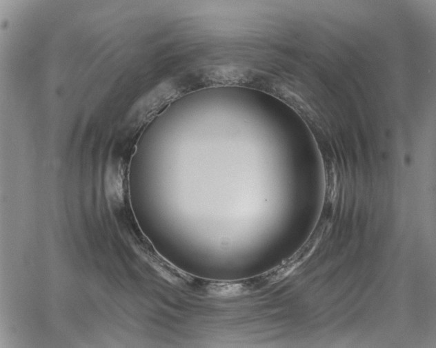 X0000067500334200604101237