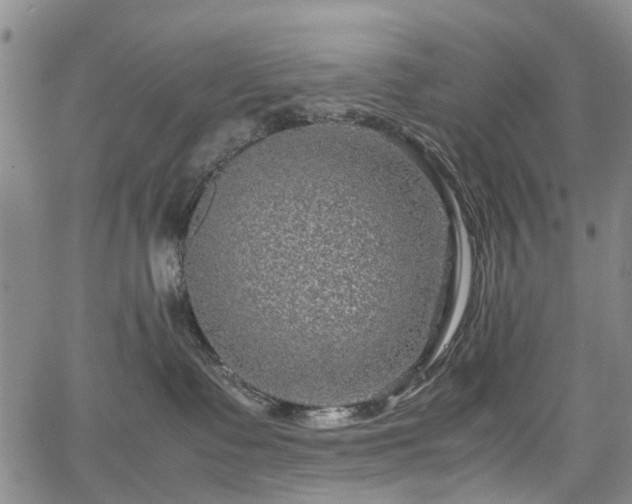 X0000067500335200604101237