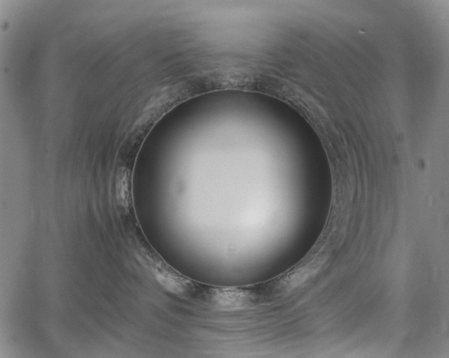 X0000067500336200604101237