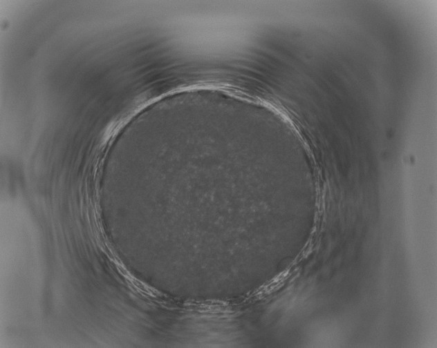 X0000067500337200604101236